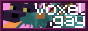 link to voxel.gay